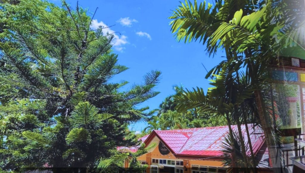 Garden and outdoor seating at Caf&eacute; Cristina