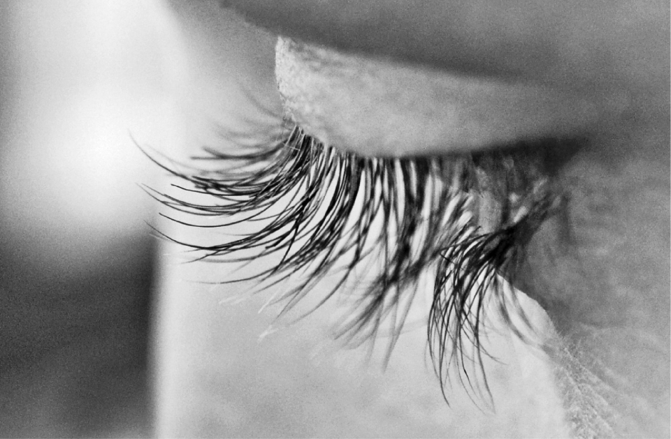 Close-up of eyelashes